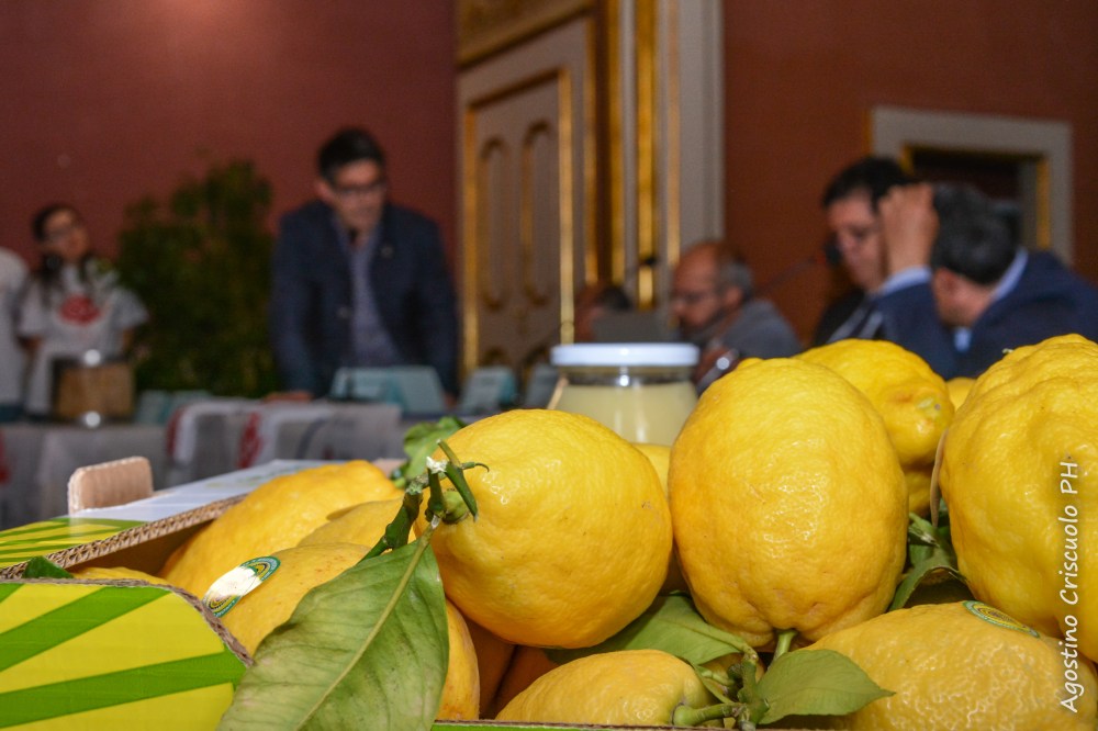 Slow food pre (003 di 007)