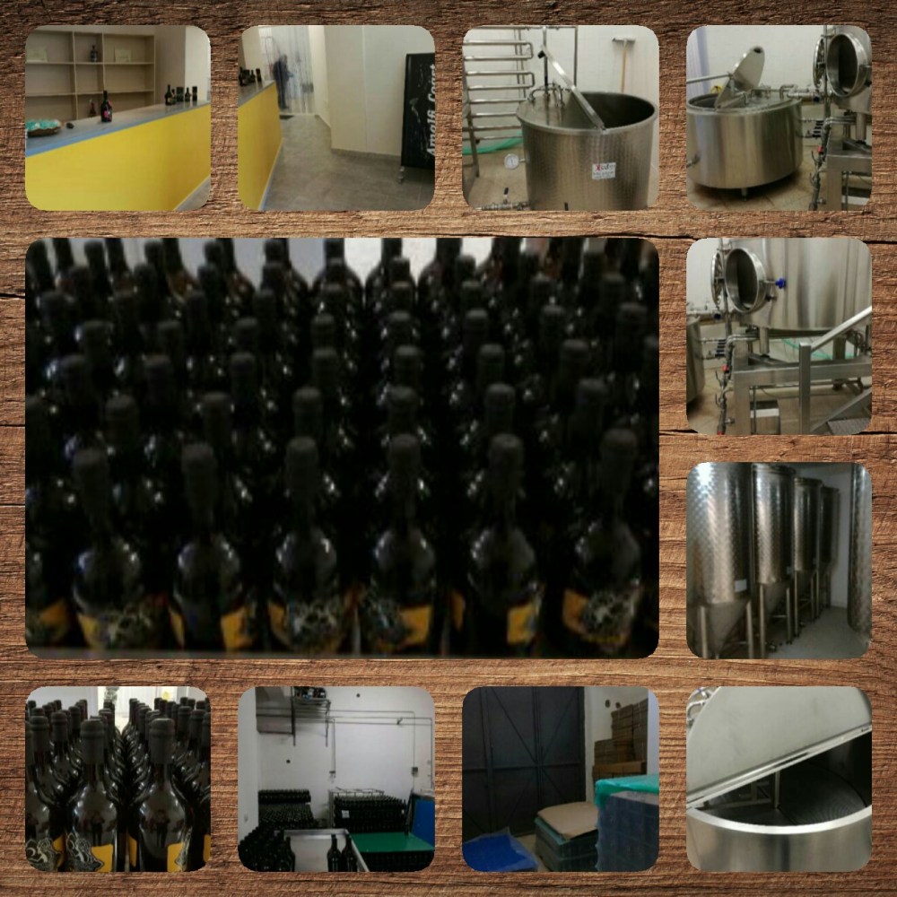 photostudio_1487028341287